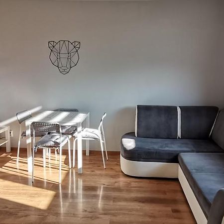 דירות דוז'ניקי ז'דרוז' Apartament Przy Papierni מראה חיצוני תמונה