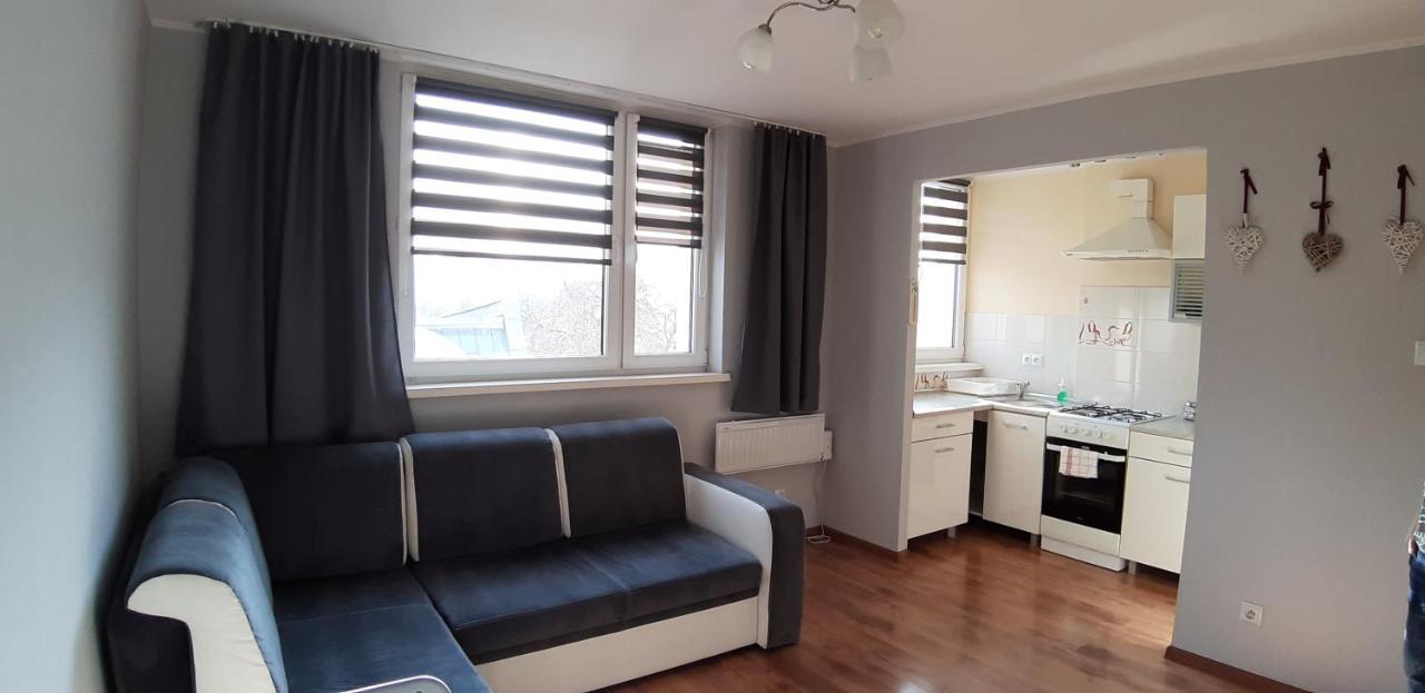 דירות דוז'ניקי ז'דרוז' Apartament Przy Papierni מראה חיצוני תמונה