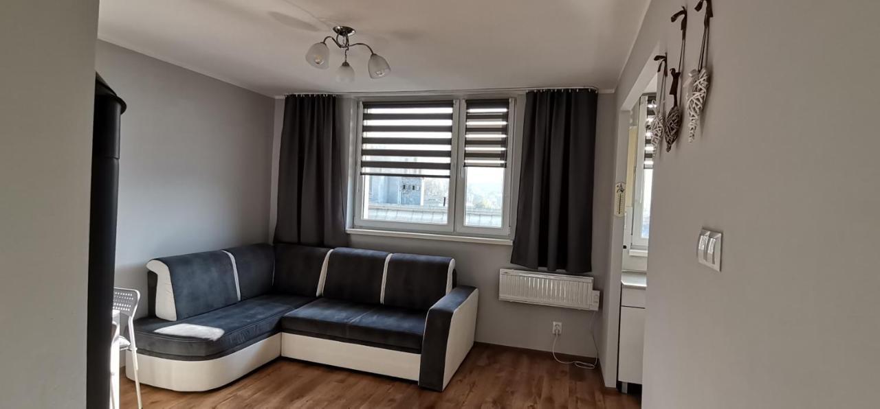 דירות דוז'ניקי ז'דרוז' Apartament Przy Papierni מראה חיצוני תמונה
